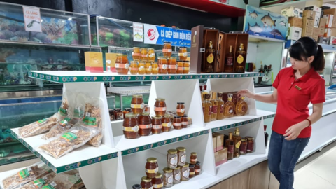 Điện Biên: Nỗ lực cải thiện môi trường đầu tư kinh doanh