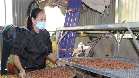 Bà Nguyễn Thị Bé điển hình làm kinh tế giỏi của phụ nữ Lai Châu