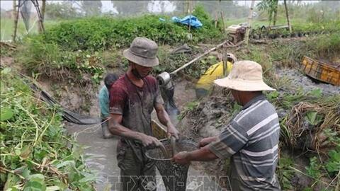 Trà Vinh hỗ trợ nông dân chuyển đổi cơ cấu sản xuất