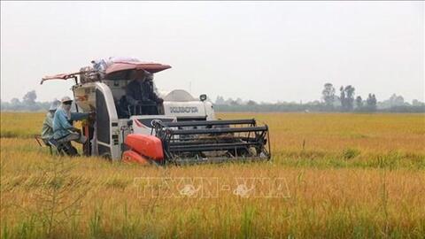 Kinh tế tập thể góp phần làm thay đổi cơ cấu sản xuất nông nghiệp Kiên Giang