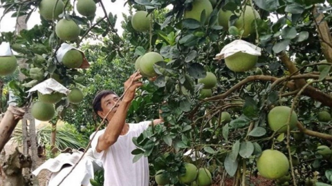 Hội Nông dân tỉnh Hoà Bình: Tạo chỗ dựa vững chắc cho hội viên làm giàu