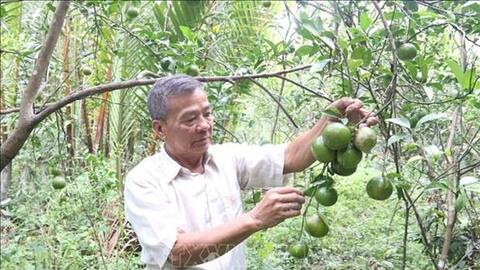 Trà Vinh hỗ trợ phát triển kinh tế tập thể và xây dựng sản phẩm OCOP