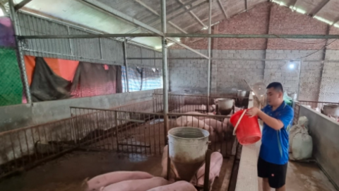 Nhiều dịch bệnh tái phát, sẽ xử phạt hộ không chịu tiêm phòng