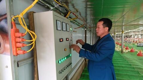 Trang trại bò, vịt lớn nhất đất mỏ