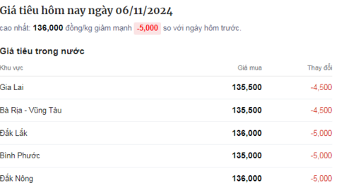 Giá tiêu đồng loạt lao dốc, áp lực bán trên thị trường tăng lên