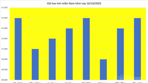 Giá heo hơi hôm nay 16/10/2025: Miền Bắc và miền Nam giảm vài nơi