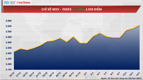 Giá ca cao đảo chiều giảm sâu trước tín hiệu cung vượt cầu