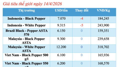 Giá tiêu hôm nay 14/4/2026: Tăng nhẹ, lên mốc 140.000 đồng/kg