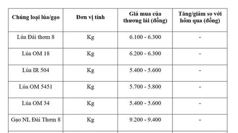 Giá lúa gạo hôm nay ngày 28/6, tuần qua: Lúa, gạo xuất khẩu biến động