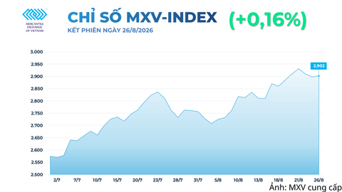 Giá lúa mì tăng hơn 6% giữa lo ngại đứt gãy nguồn cung