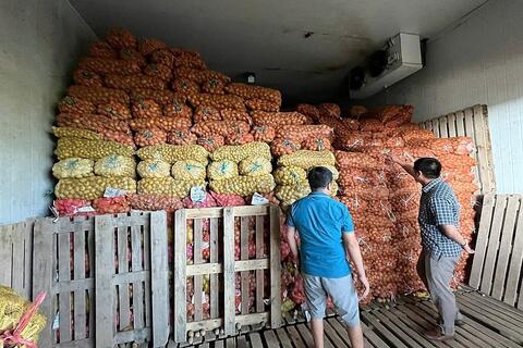 Từ cây trồng vụ đông, nông dân Hải Phòng hái vàng trên ruộng