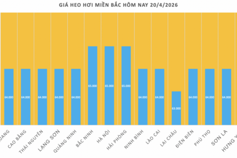 Giá heo hơi hôm nay 20/4/2026: Tăng nhẹ tại miền Trung