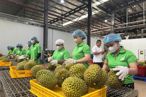 Nông sản Việt trước sức ép đổi chuẩn xuất khẩu