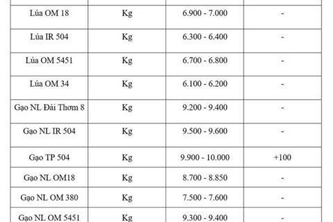 Giá lúa gạo hôm nay ngày 14/8/2026: Gạo nguyên liệu xuất khẩu tăng
