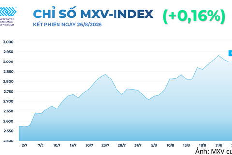 Giá lúa mì tăng hơn 6% giữa lo ngại đứt gãy nguồn cung