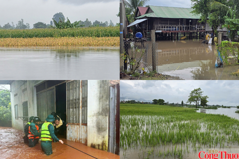 Gia Lai: Mưa lớn kéo dài, ruộng đồng, nhà dân chìm trong biển nước