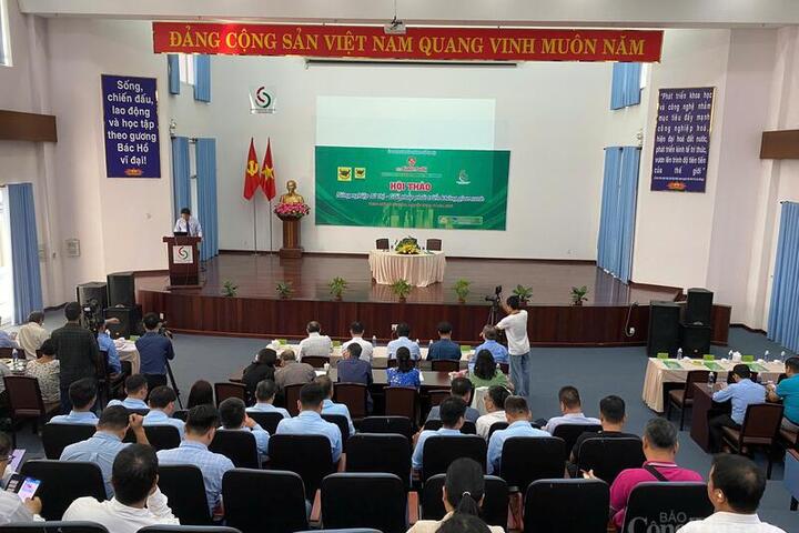 Nông nghiệp đô thị: Mở lối cho tương lai phát triển bền vững