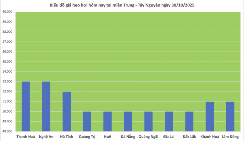 Giá heo hơi hôm nay 30/10/2025:  Giảm nhẹ tại miền Trung - 2