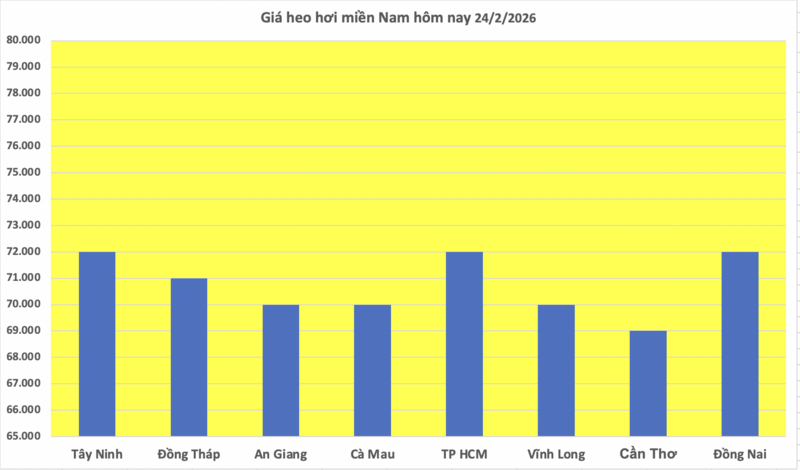 Giá heo hơi hôm nay 24/2/2026: Giảm vài nơi tại miền Trung và miền Nam - 3