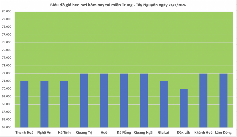 Giá heo hơi hôm nay 24/2/2026: Giảm vài nơi tại miền Trung và miền Nam - 2