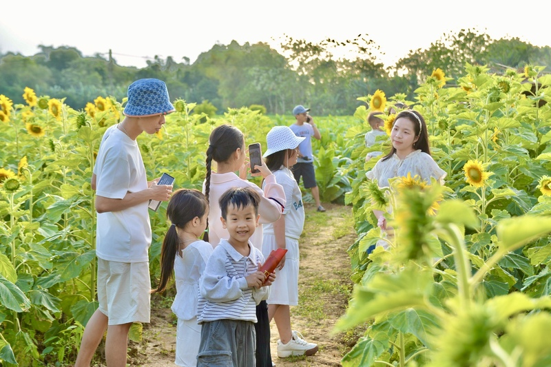 Chị Trần Nguyễn Yến Nhi (trú tại phường Hải Châu, TP. Đà Nẵng) chia sẻ: “Vườn hoa mở đúng vào tuần cuối nghỉ Tết của gia đình nên cả nhà mình quyết định đến đây để vui chơi. Dù quãng đường di chuyển hơi xa nhưng khi đến nơi, quang cảnh đẹp khiến gia đình cảm thấy rất xứng đáng”. Ảnh: Ngọc Thảo