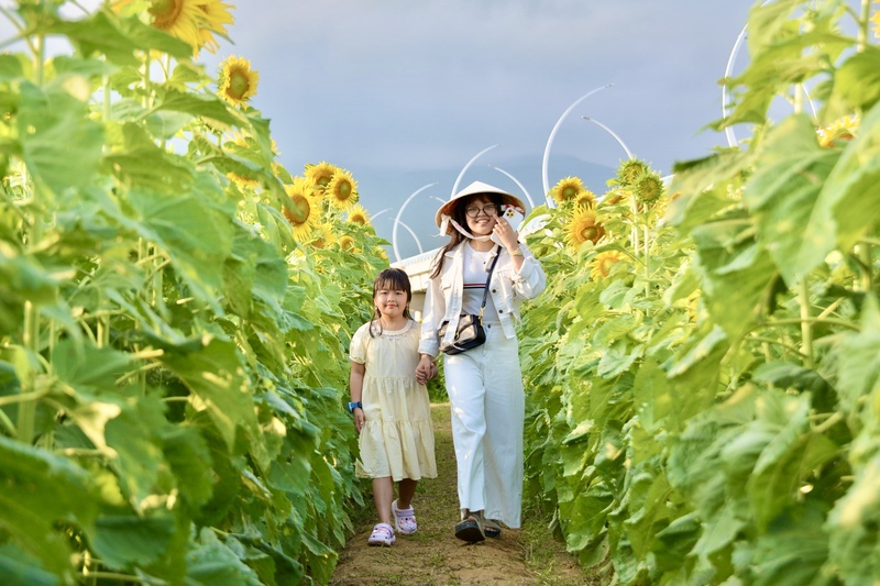 Để phục vụ người dân đến tham quan, du xuân, đơn vị thực hiện đã tạo đường đi rộng rãi giữa các luống hoa. Ảnh: Ngọc Thảo