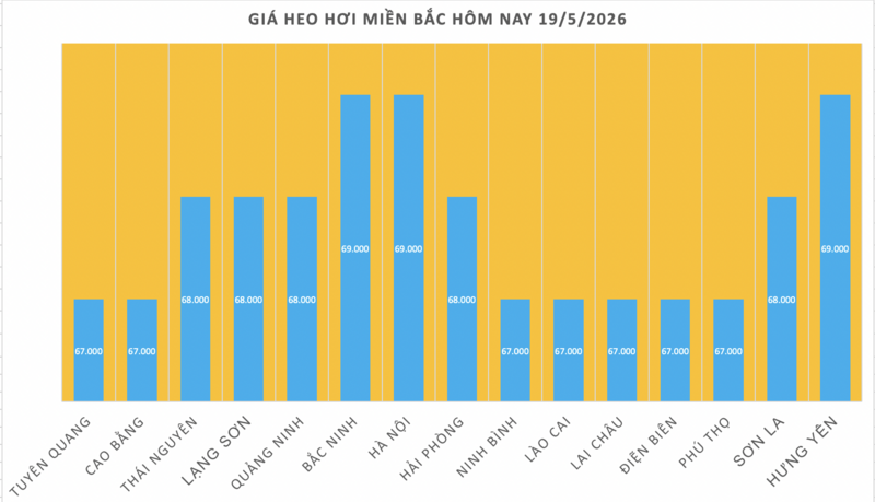 Giá heo hơi hôm nay 19/5/2026: Giảm diện rộng tại miền Nam - 1