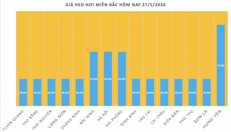 Giá heo hơi hôm nay 27/5/2026: Giảm đồng loạt tại miền Trung, miền Nam - 1