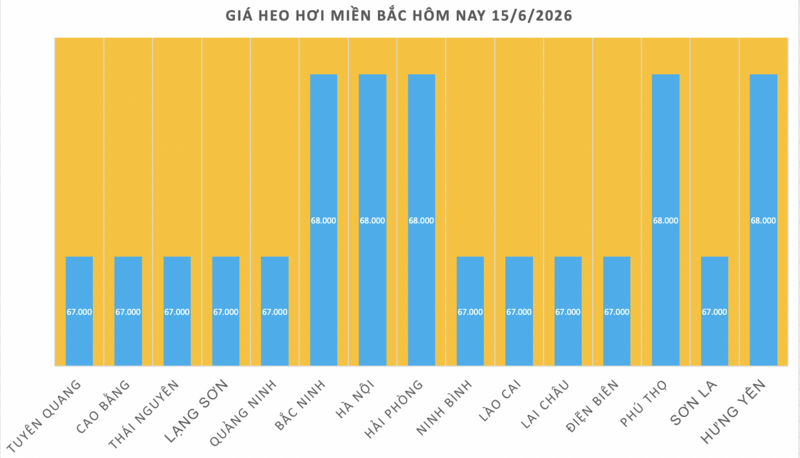 Giá heo hơi hôm nay 15/6/2026: Duy trì bình ổn - 1