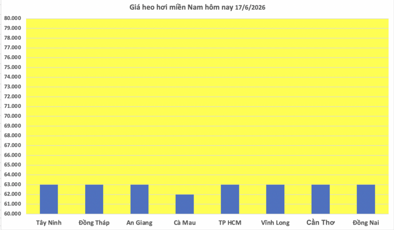 Giá heo hơi hôm nay 17/6/2026: Thị trường tạm chững - 3