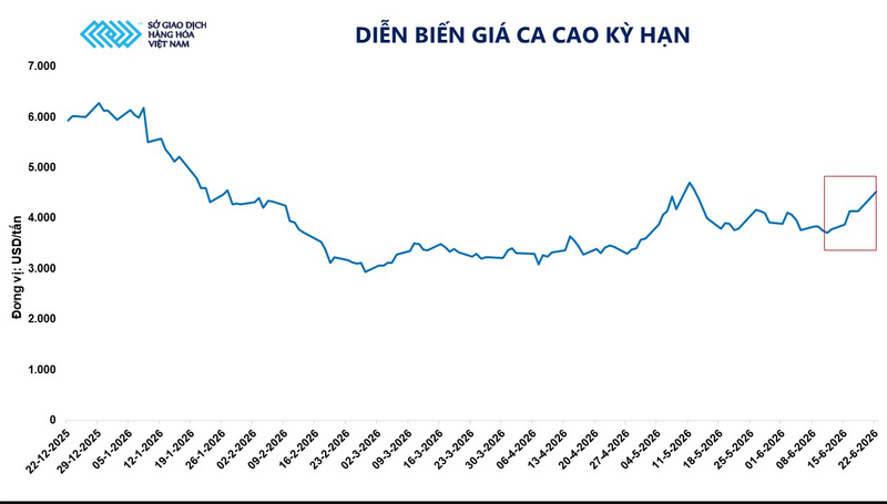 Diễn biến giá ca cao kỳ hạn. Nguồn: MXV