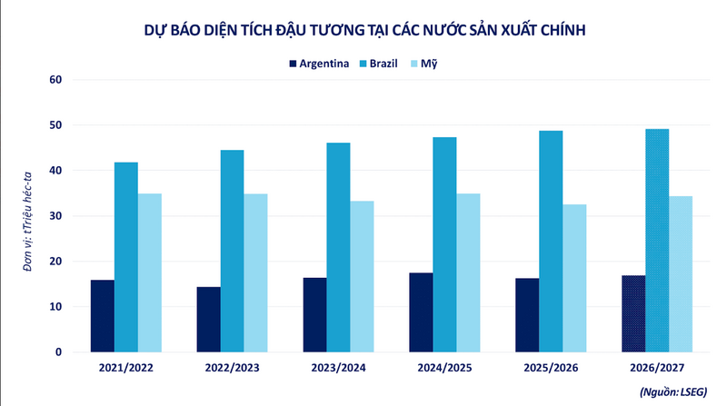 Dự báo diện tích đậu tương tại các nước sản xuất chính. Nguồn: MXV