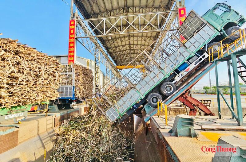Chỉ số sản xuất công nghiệp (IIP) tháng 6/2026 ước tăng 8,44% so với cùng kỳ năm trước. Ảnh: Hiền Mai