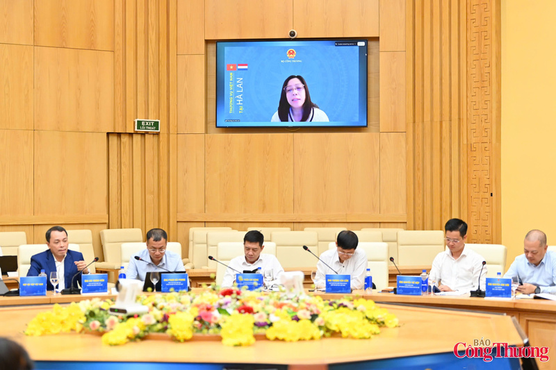Bà Võ Thị Ngọc Diệp - Tham tán thương mại Việt Nam tại Hà Lan phát biểu trực tuyến tại Hội nghị. Ảnh: Nguyễn Nam