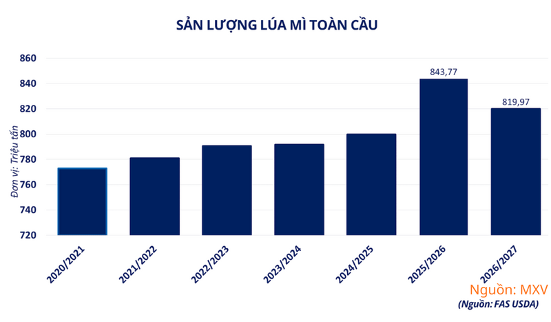 Sản lượng lúa mì toàn cầu.