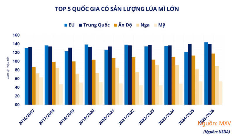Top 5 quốc gia có sản lượng lúa mì lớn.