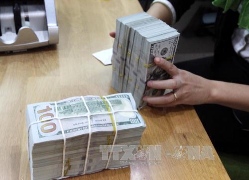 Tỷ giá USD hôm nay ngày 28/7/2026. Ảnh minh hoạ: TTXVN.