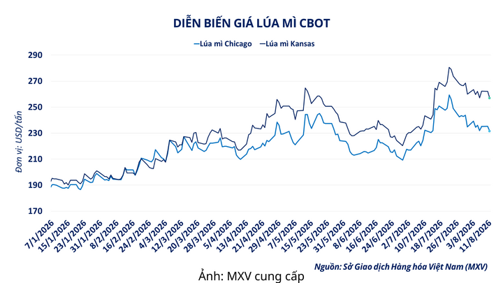 Diễn biến giá lúa mì CBOT