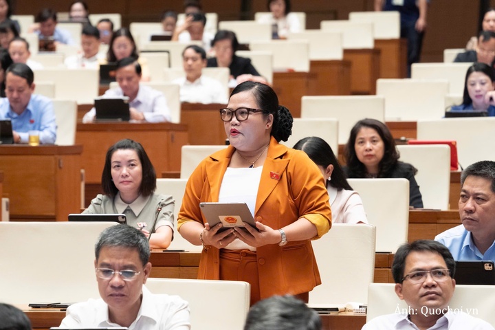 Đại biểu Nguyễn Thị Sửu - Đoàn ĐBQH thành phố Huế.