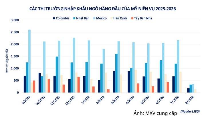 Các thị trường nhập khẩu ngô hàng đầu của Mỹ niên vụ 2025-2026
