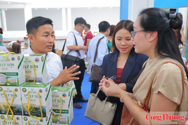 Tỏi Lý Sơn là một trong những sản phẩm OCOP tiêu biểu của Quảng Ngãi đạt tiêu chuẩn 5 sao.