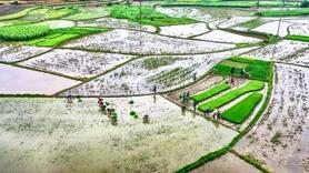 Đảm bảo tối ưu lấy nước Vụ Đông Xuân 2019-2020 vì nguồn thuỷ điện gặp khó