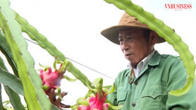 Nông dân Tiền Giang thu "quả ngọt" trên những "cánh đồng số"