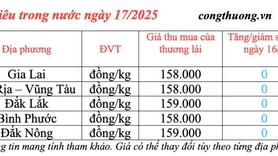 Giá tiêu hôm nay 17/3/2025 trong nước 'neo' mức cao
