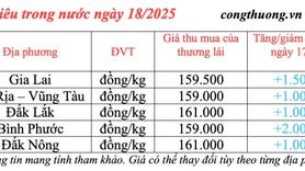 Dự báo giá tiêu trong nước ngày mai 19/3/2025 tăng nhẹ