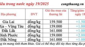 Giá tiêu hôm nay 19/3/2025 trong nước duy trì đà tăng