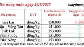 Giá tiêu hôm nay 20/5/2025: trong nước Gia Lai giảm 1.000 đồng/kg