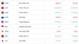 Tỷ giá USD hôm nay 12/08/2025: Đồng USD tăng nhẹ trên diện rộng