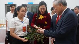 Đại hội đại biểu Đảng bộ tỉnh Quảng Ngãi lần thứ I, nhiệm kỳ 2025–2030