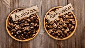 Giá cà phê Việt Nam và thế giới: Robusta – Arabica khác biệt ra sao?